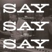 Say Say Say - Plak