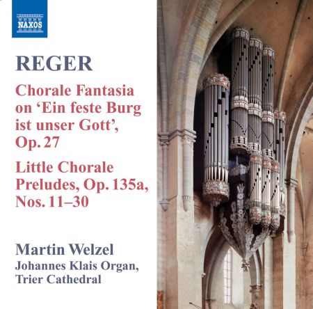 Martin Welzel: Reger, M.: Organ Works, Vol.  8 - CD