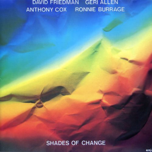 David Friedman - Shades of Change