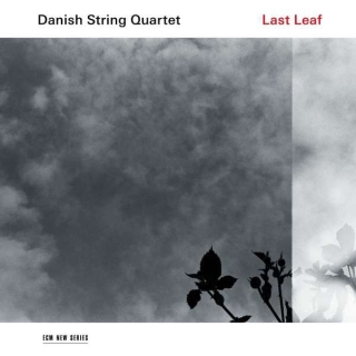 Danish String Quartet: Last Leaf - Plak