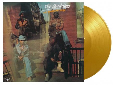 The Modulations: It's Rough Out Here (Limited Edition - Yellow Vinyl) - Plak