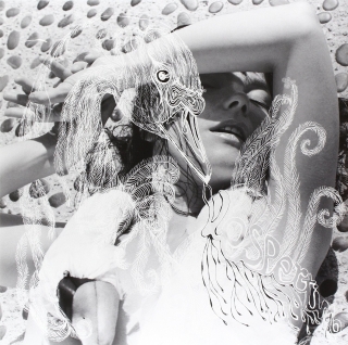 Björk: Vespertine - Plak