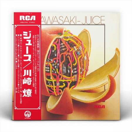 Ryo Kawasaki: Juice - Plak