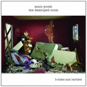 Sonic Youth: The Destroyed Room  B-Sides And Rarities - CD