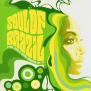 Çeşitli Sanatçılar: Soul Of Brazil - CD