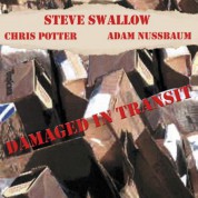 Steve Swallow, Chris Potter, Adam Nussbaum: Damaged In Transit - CD
