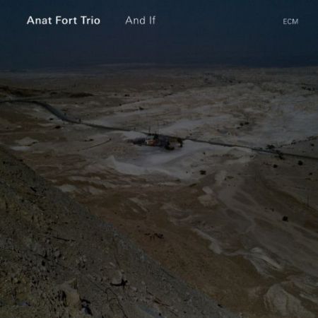 Anat Fort Trio: And If - CD