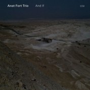 Anat Fort Trio: And If - CD