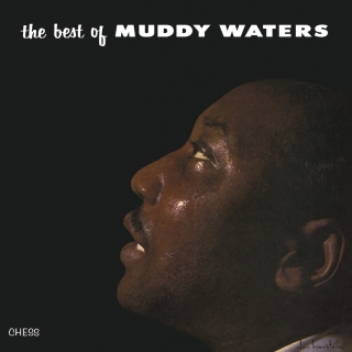 Muddy Waters: The Best Of Muddy Waters - Plak