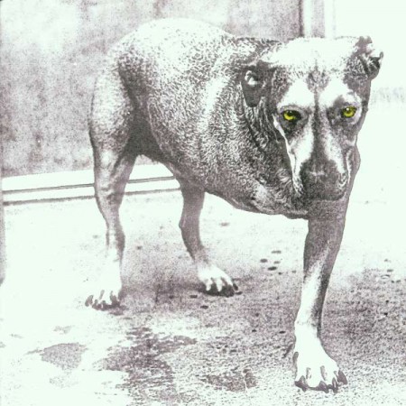 Alice In Chains - CD