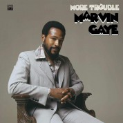Marvin Gaye: More Trouble - Plak
