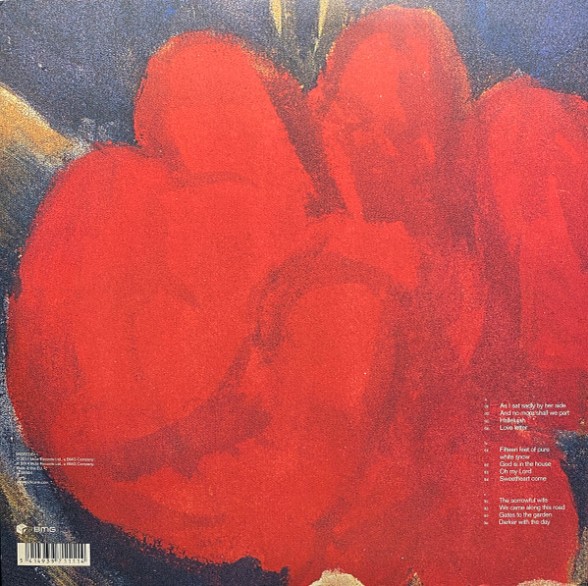 Nick Cave and the Bad Seeds: No More Shall We Part - Plak Foto #2