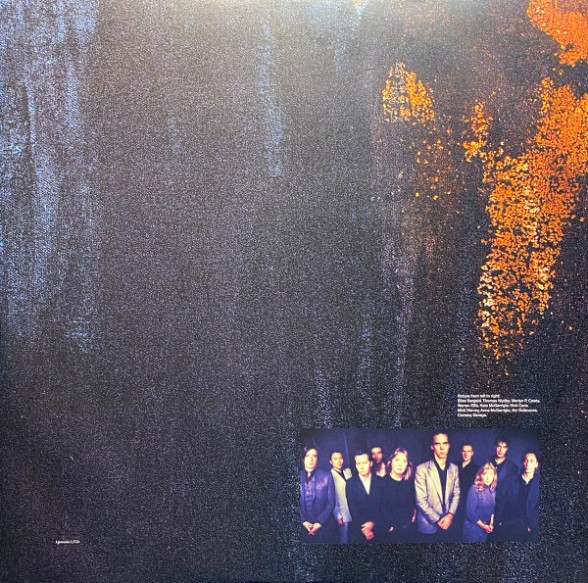 Nick Cave and the Bad Seeds: No More Shall We Part - Plak Foto #3