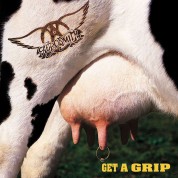 Aerosmith: Get A Grip - Plak