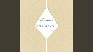 Akın Sevgör: Formation (Siyah Plak) - Plak