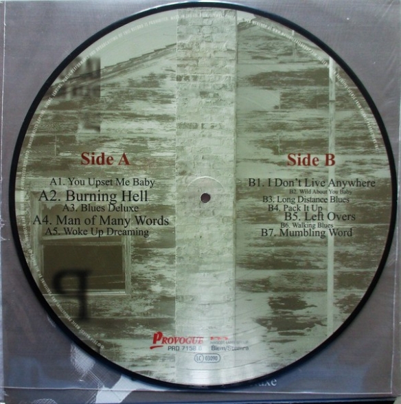 Joe Bonamassa: Blues Deluxe (Picture Disc) - Plak Foto #2