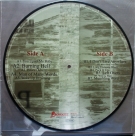 Joe Bonamassa: Blues Deluxe (Picture Disc) - Plak Foto #2