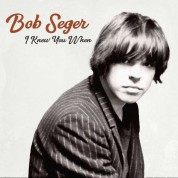 Bob Seger: I Knew You When - Plak