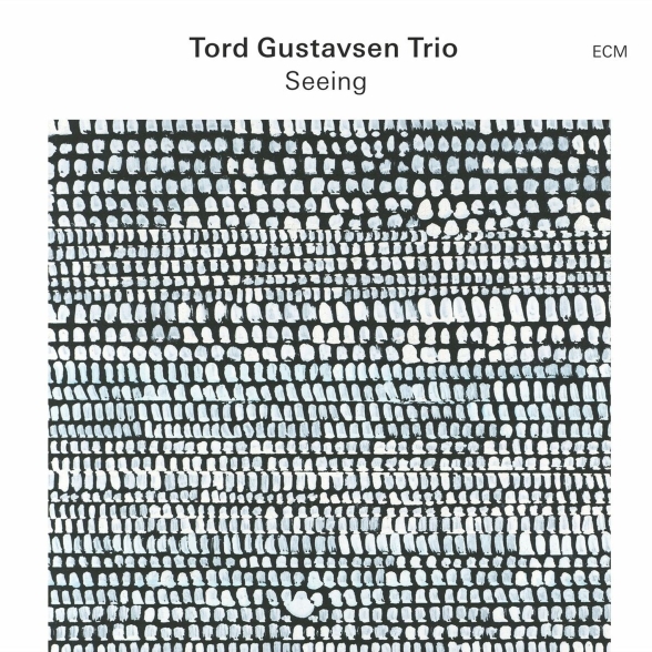 Tord Gustavsen Trio: Seeing - Plak Foto #1