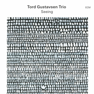 Tord Gustavsen Trio: Seeing - Plak
