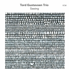 Tord Gustavsen Trio: Seeing - Plak Foto #1
