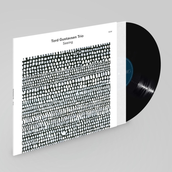 Tord Gustavsen Trio: Seeing - Plak Foto #2
