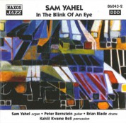 Yahel, Sam: In the Blink of an Eye - CD