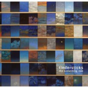 Tindersticks: The Something Rain - Plak