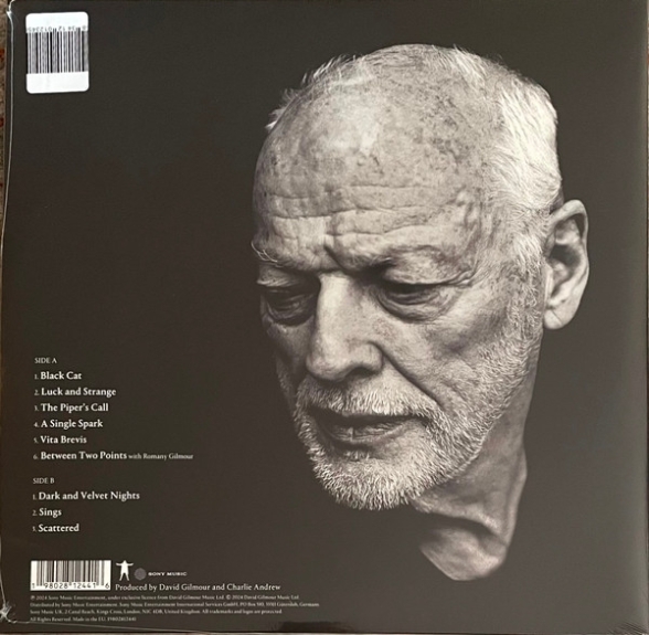 David Gilmour: Luck And Strange (Limited Edition - Silver Opaque Vinyl) - Plak Foto #2