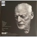 Luck And Strange (Limited Edition - Silver Opaque Vinyl) - Plak