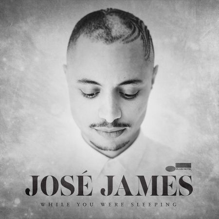José James: While You Were Sleeping - Plak
