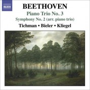 Xyrion Trio: Beethoven, L. Van: Piano Trios, Vol. 3 - Piano Trio No. 3 / Symphony No. 2 (Arr. for Piano Trio) - CD