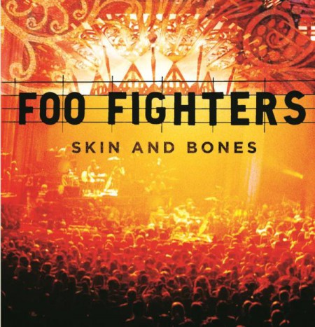 Foo Fighters: Skin and Bones - Plak