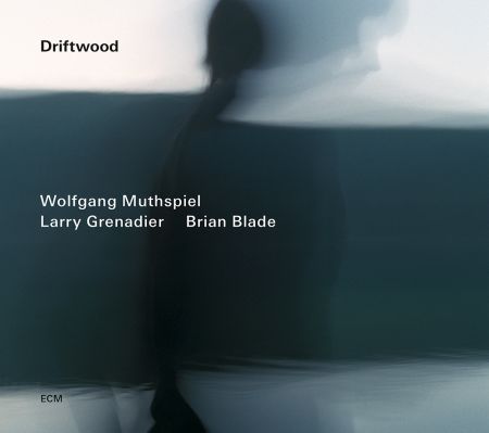 Wolfgang Muthspiel, Lenny Grenadier, Brian Blade: Driftwood - CD