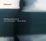 Wolfgang Muthspiel, Lenny Grenadier, Brian Blade: Driftwood - CD