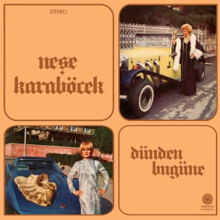 Neşe Karaböcek: Dünden Bugüne - Plak