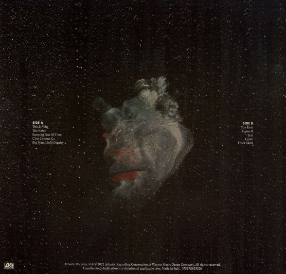 Paramore: This Is Why - Plak Foto #2