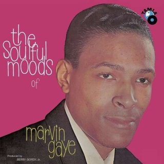 Marvin Gaye: The Soulful Moods Of Marvin Gaye - Plak