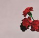 John Legend: Love In The Future - CD