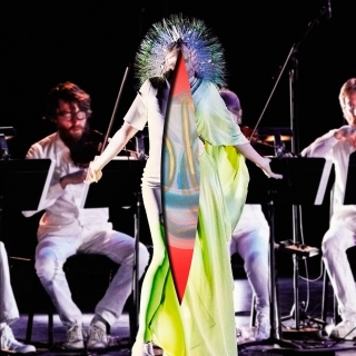 Björk: Vulnicura Strings: The Acoustic Versions - Plak