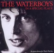 Waterboys: In A Special Place (The Piano Demos for This Is The Sea) - CD