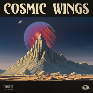 Cosmic Wings - Plak