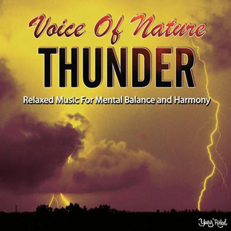 Çeşitli Sanatçılar: Thunder - CD