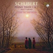 Klaviertrio Amsterdam, Klára Würtz, Joan Berkhemer, Nadia David: Schubert: Complete Piano Trios - CD