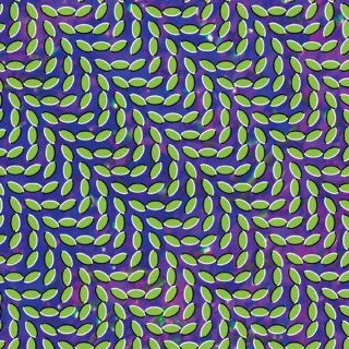 Animal Collective: Merriweather Post Pavilion - Plak
