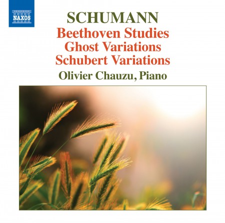 Olivier Chauzu: Schumann: Beethoven Studies, Ghost Variation, Schubert Variation - CD