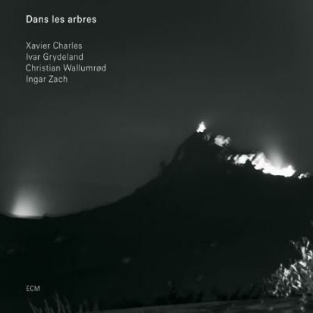Xavier Charles, Ivar Grydeland, Christian Wallumrød, Ingar Zach: Dans les arbres - CD