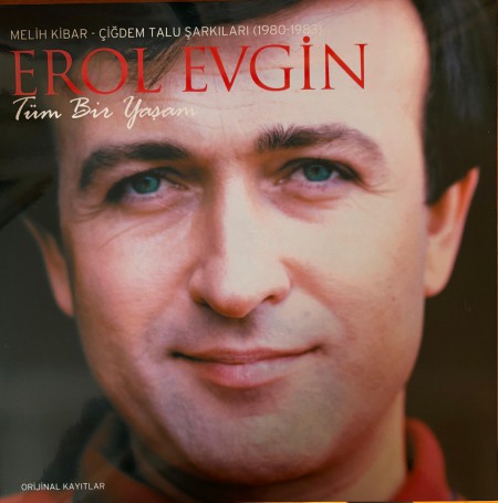 Erol Evgin: Tüm Bir Yaşam 1980-83 - Plak