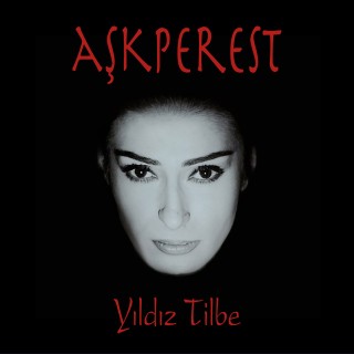 Yıldız Tilbe: Aşkperest - Plak
