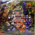 Little Mix: Between Us (Limited Picture Disc - Jade) - Plak Foto #2